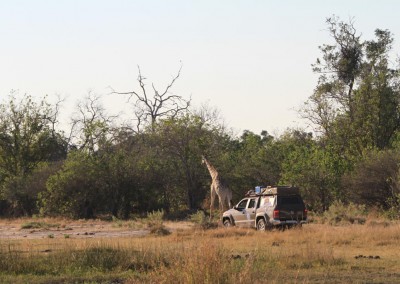 botswana_2015_24